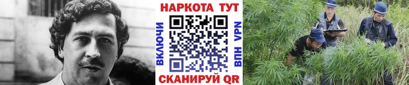 Купить наркотики сайты Заинск OMG рабочий сайт ГАШИШ МАРИХУАНА КОКАИН