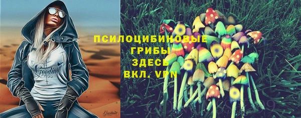 стаф Армянск