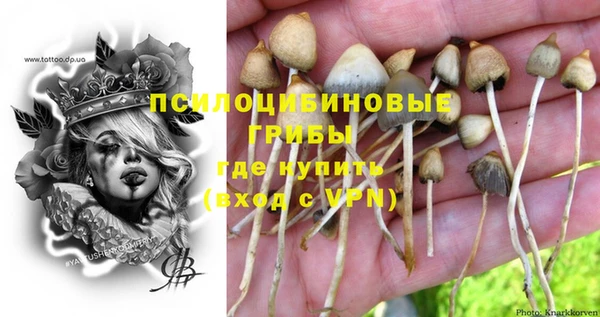 спайс Алексин