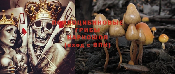 метадон Арсеньев