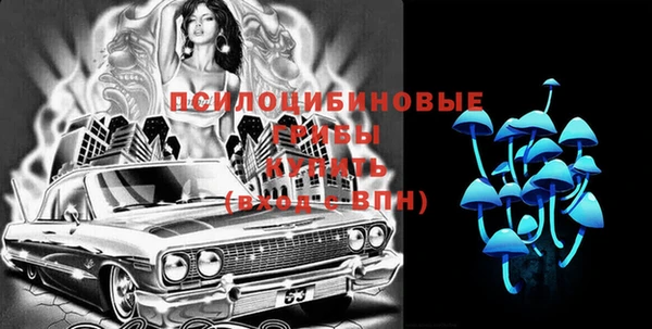 спайс Алексин