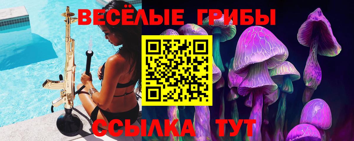 Заинск  Галлюциногенные грибы прущие грибы  Псилоцибиновые грибы GOLDEN TEACHER  Вход с VPN 